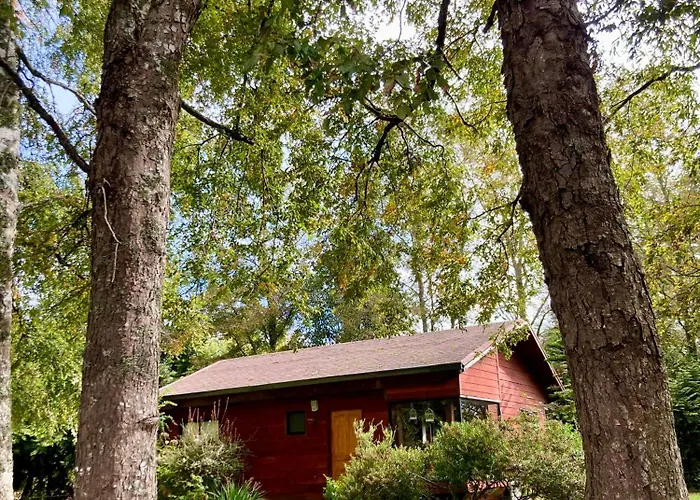 Cabana Entre Arboles