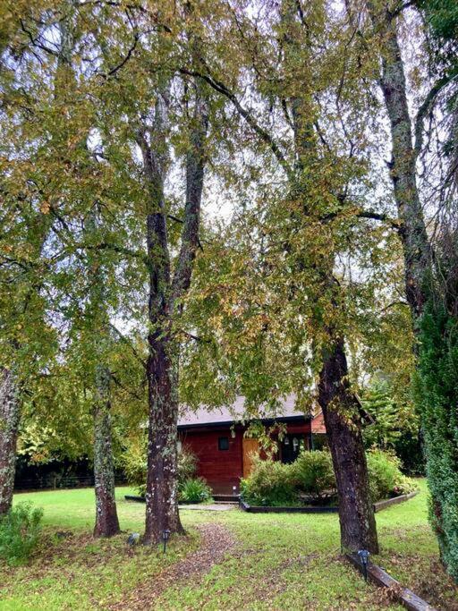 Casa de férias Entre Arboles